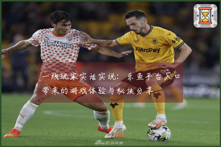 一线玩家实话实说：乐鱼平台入口带来的游戏体验与秘诀分享