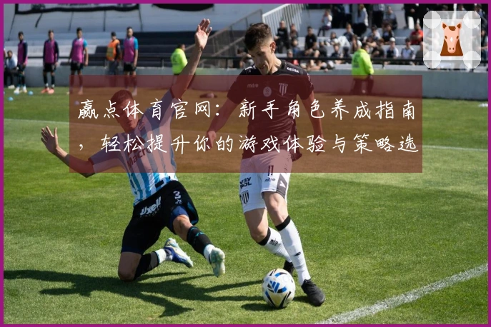 赢点体育官网:新手角色养成指南,轻松提升你的游戏体验与策略选择
