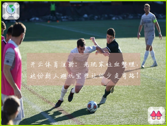 开云体育注册：老玩家吐血整理，这份新人避坑宝典让你少走弯路！