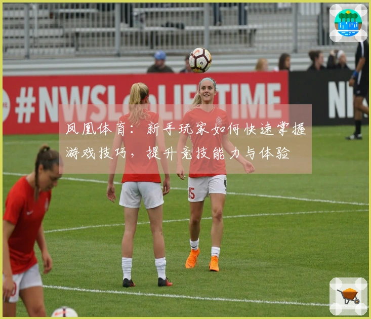 凤凰体育：新手玩家如何快速掌握游戏技巧，提升竞技能力与体验