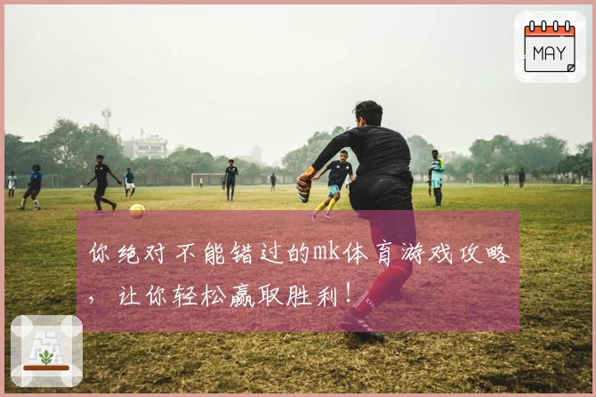 你绝对不能错过的mk体育游戏攻略,让你轻松赢取胜利!